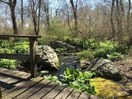 Nature And Newport, The Ivy Lodge